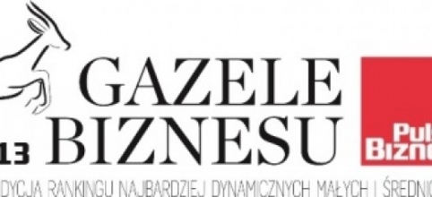 GAZELE BIZNESU