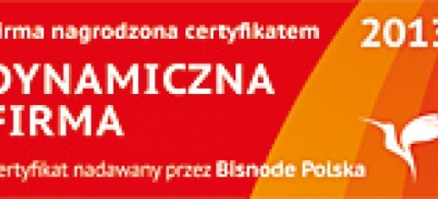 DYNAMICZNA FIRMA 2013